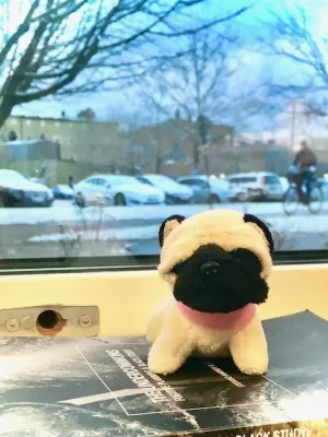 View of and from Lene Kristian's office window. The office mascot, a small pet pug, is sitting on top of a stack of books on the windowsill. Outside, there is a parking lot, trees and sky in the early dusk of a winter's day.